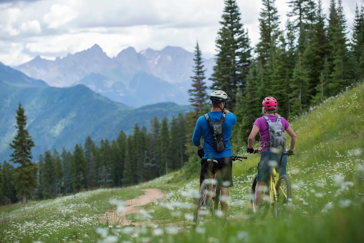 A striking mountain landscape is the backdrop for several bicyclists traversing a wildflower-fringed trail, set among lush pine trees. The scene radiates energy and adventure, capturing the spirit of exploring the great outdoors together.